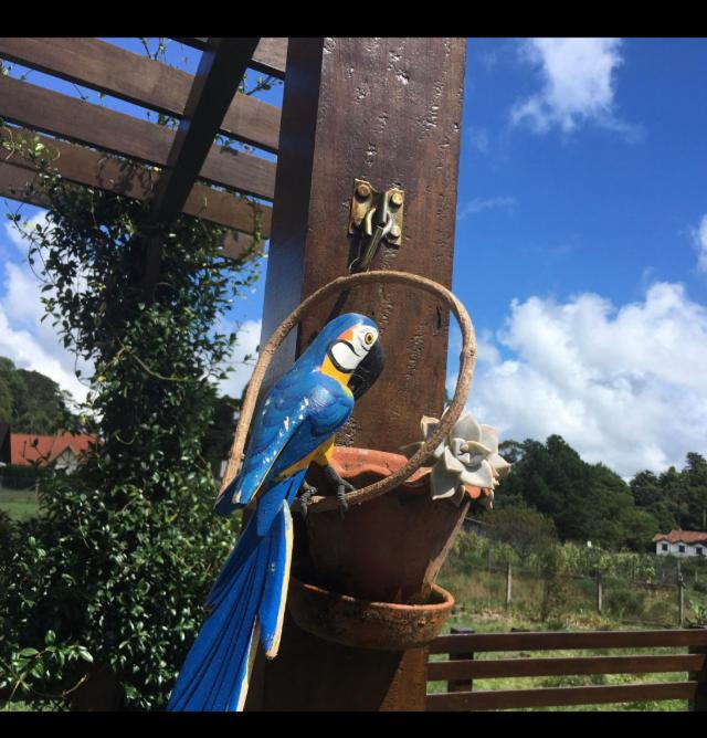 Casa Da Serra São Francisco de Paula 외부 사진